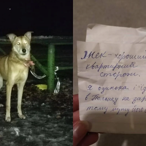 Диана Таро Новые 2022 Год