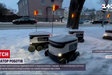 В Естонії через снігопад утворився справжній затор із роботів-кур'єрів