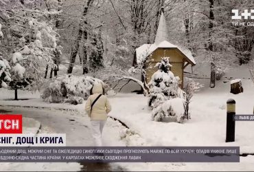 Погода в Україні: у західних та північних областях випав сніг