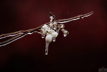 Негода в Одесі: синоптики оголосили жовту небезпеку