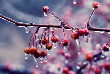 До України наближається Сибірський антициклон: як зміниться погода