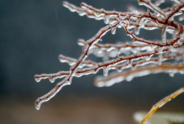 Сегодня часть Украины скует гололед: объявлен I уровень опасности (карта)