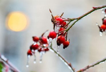 В Харькове на сегодня введен I уровень опасности (инфографика)