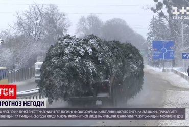 Через негоду знеструмлені понад дві сотні населених пунктів