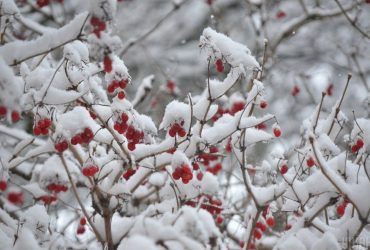 21 февраля: народные приметы и что нельзя делать