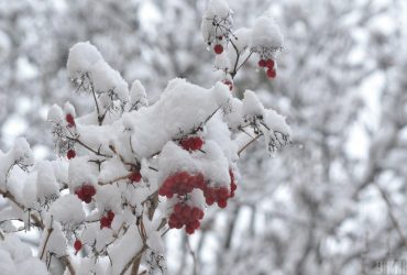 20 февраля 2022 - какой сегодня праздник, приметы и именинники, что сегодня нельзя делать
