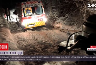 У Львівській та Рівненській областях снігопади знеструмили села і ускладнили трафік