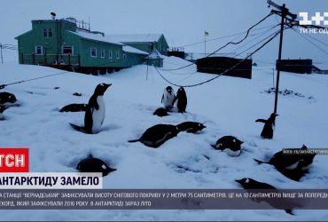 На станції "Вернадський" зафіксували рекордну кількість снігу в Антарктиді