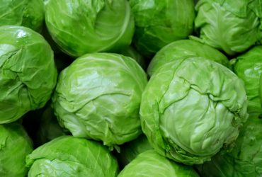 Росіян вчать робити підгузники з моху, капустяного листя і пакетів