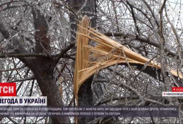 Украину накрыл мороз, снег и ледяной дождь в разных регионах