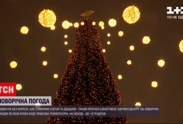 Новый год украинцы встретят без мороза, но с мокрым снегом и дождями