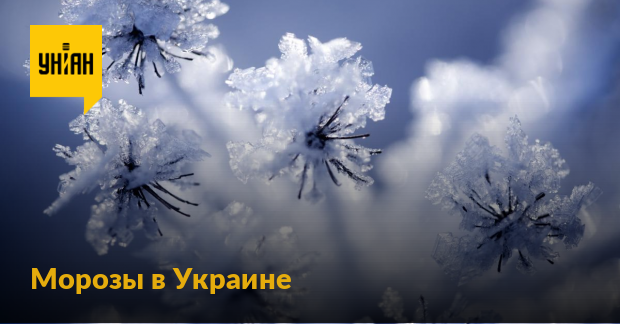 Weather in Ukraine – On December 22, frosts in Ukraine will become even stronger.  Where will it be coldest?  – UNIAN