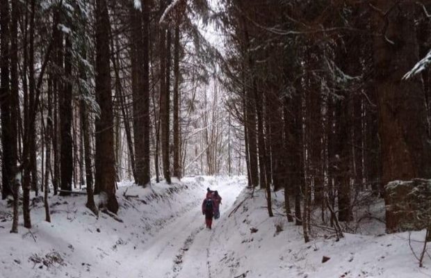 У Карпатах другу добу шукають туриста, який загубився під час катання на снігоходах (фото)