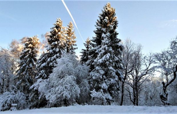 15 грудня 2021 - яке сьогодні свято, прикмети та іменинники, що сьогодні не можна робити