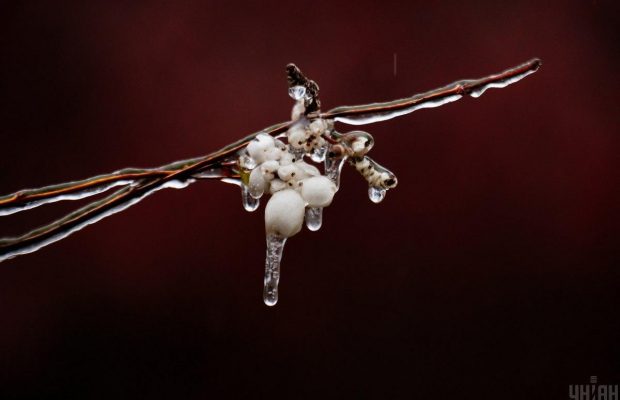 26 грудня 2021 - яке сьогодні свято, прикмети та іменинники, що сьогодні не можна робити