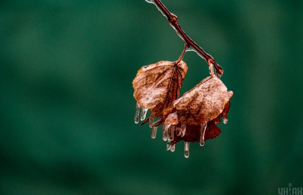 6 січня 2022 - яке сьогодні свято, прикмети та іменинники, що сьогодні не можна робити