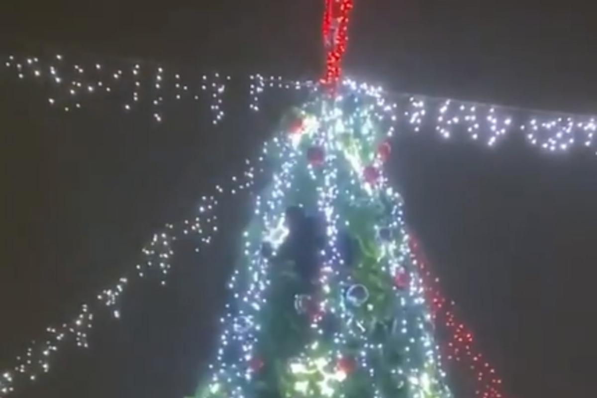 In Kryvyi Rih, a man climbed onto a decorated Christmas tree / screenshot