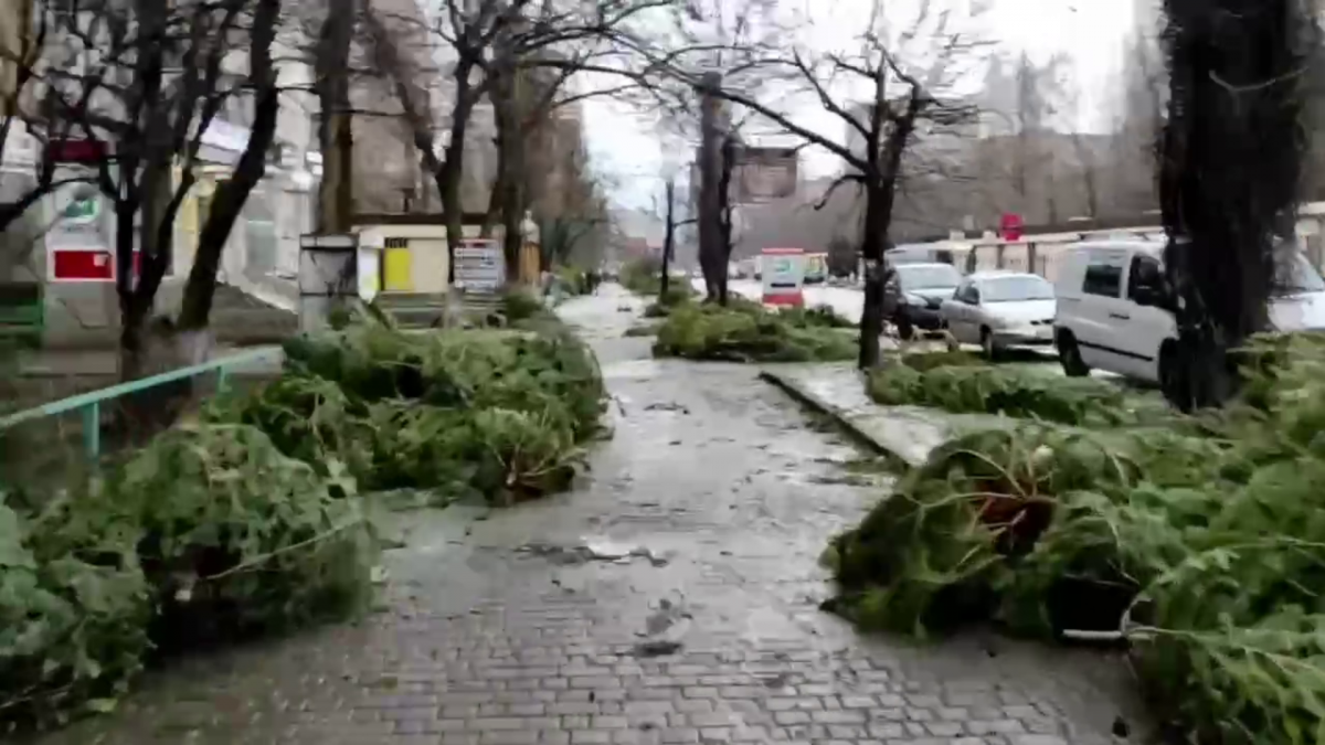 Utility workers in Odessa counted more than 5 thousand useless green beauties / screenshot