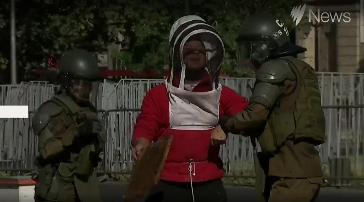 Beekeepers protested in Santiago / Screenshot