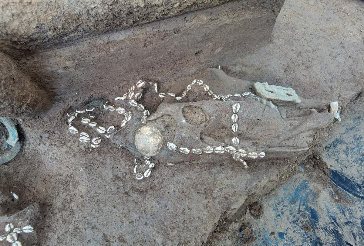 Вчені розкопали поховання стародавнього клану / фото vokrugsveta.ua