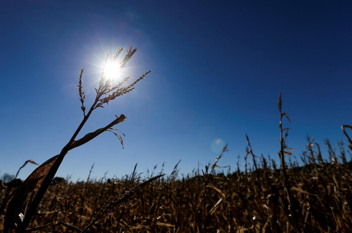 Глобальное потепление уже не удастся удержать на уровне ниже 1,5 °C: ученые сделали прогноз