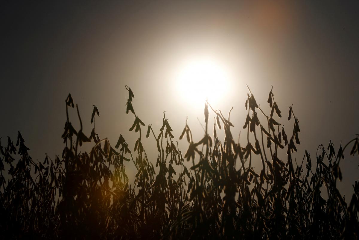 Климат в Украине стремительно меняется / фото REUTERS Климат в Украине стремительно меняется / фото REUTERS
