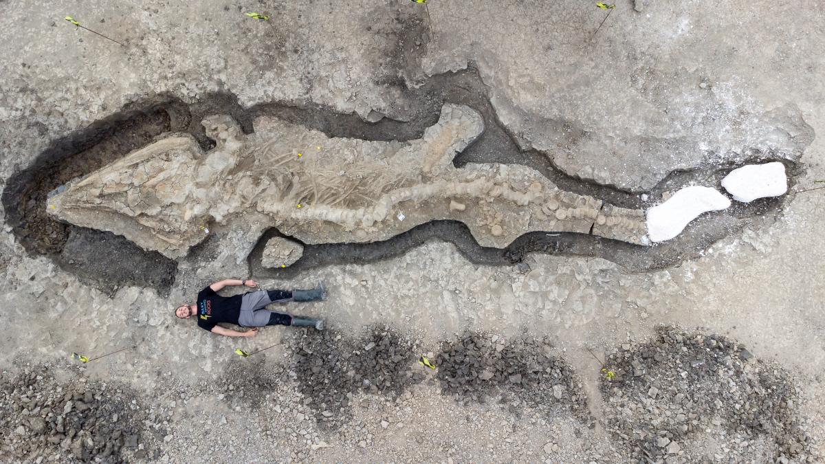 10-метровый скелет ихтиозавра нашли в Англии / фото REUTERS