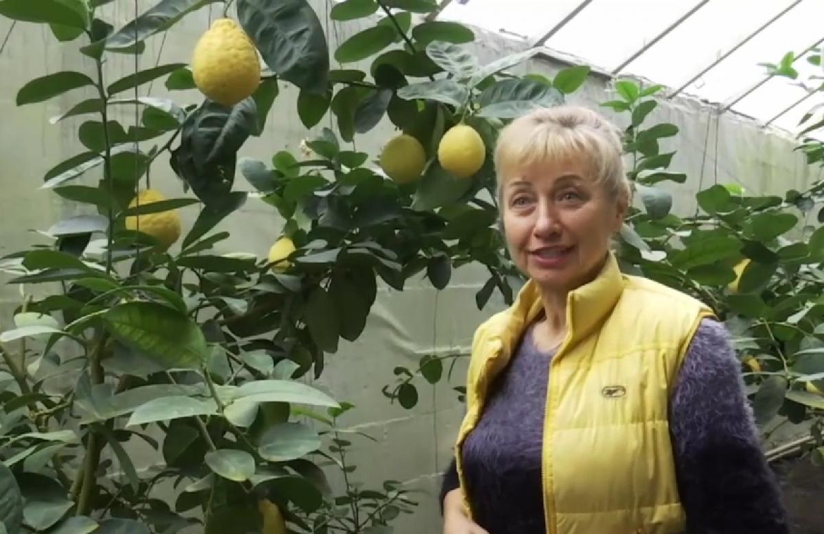 Под Харьковом женщина выращивает более 70 сортов экзотических фруктов / скриншот