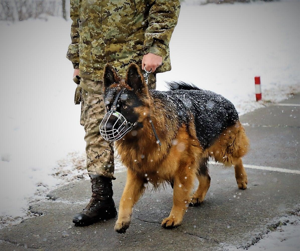 У серпні виїхати за кордон чоловікам стане важче / фото facebook.com/DPSUkraine У серпні виїхати за кордон чоловікам стане важче / фото facebook.com/DPSUkraine