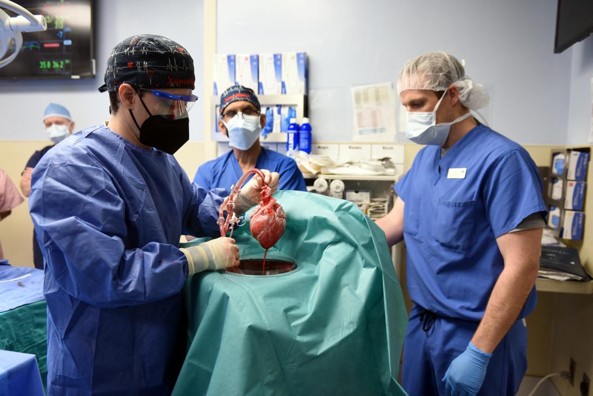 Операция по пересадке сердца длилась 7 часов \ фото REUTERS