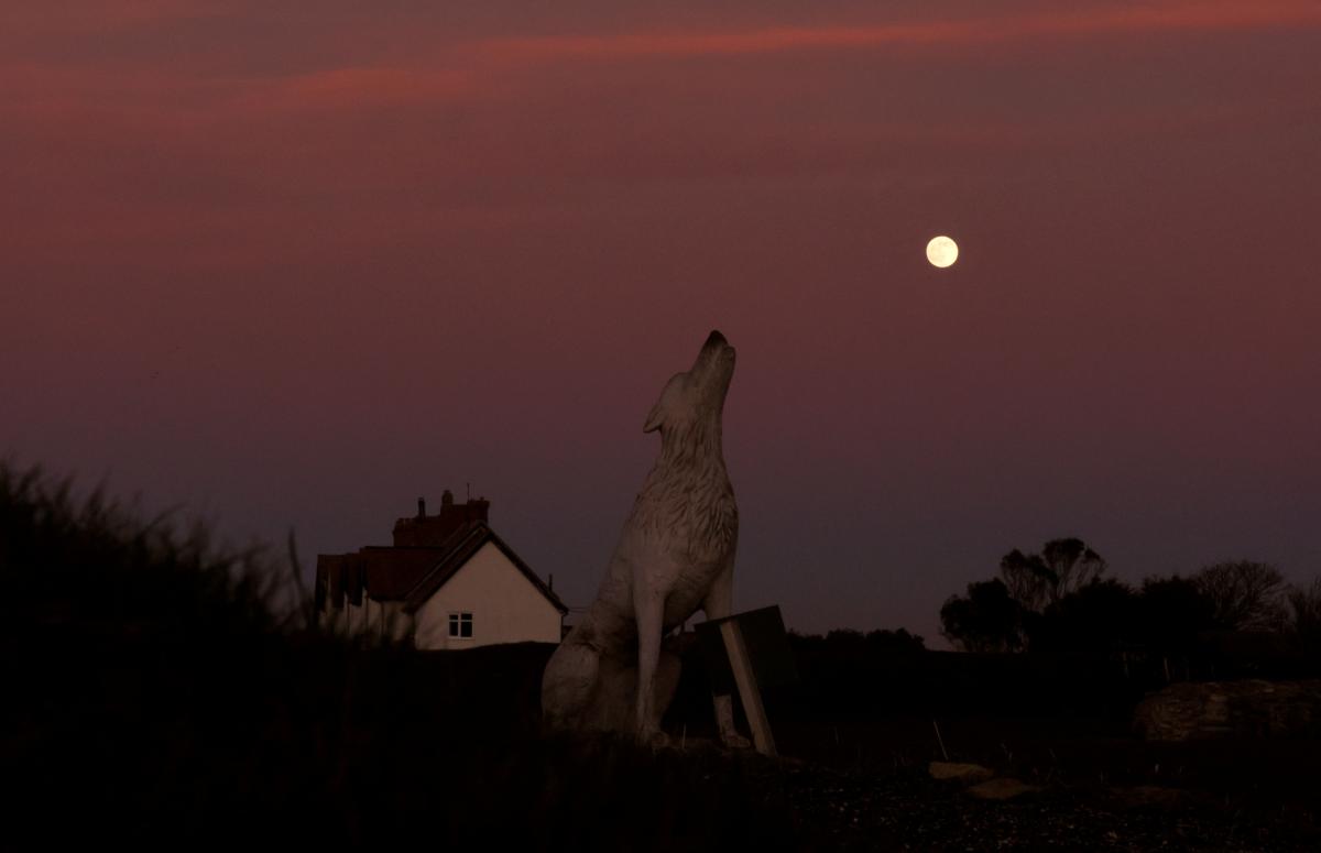 Жители планеты наблюдали волчье полнолуние /фото REUTERS