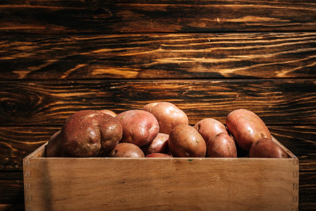 Как правильно хранить картофель в домашних условиях / depositphotos.com