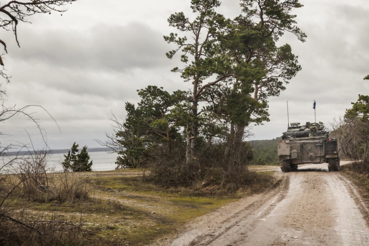 Швеция отправила дополнительные военные подразделения на остров Готланд \ фото REUTERS