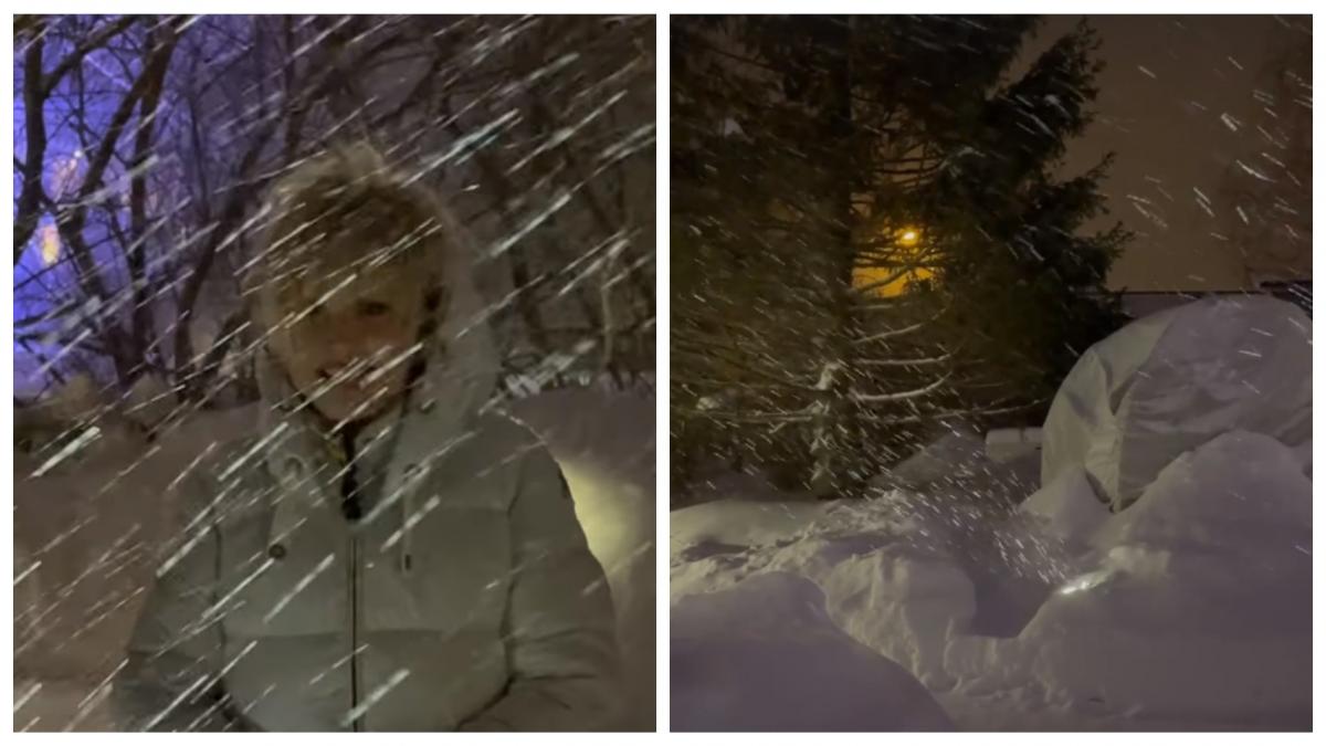 Пугачева прогулялась в снегопад / коллаж УНИАН