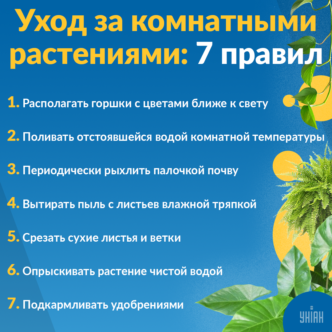 Полезные советы / Инфографика УНИАН