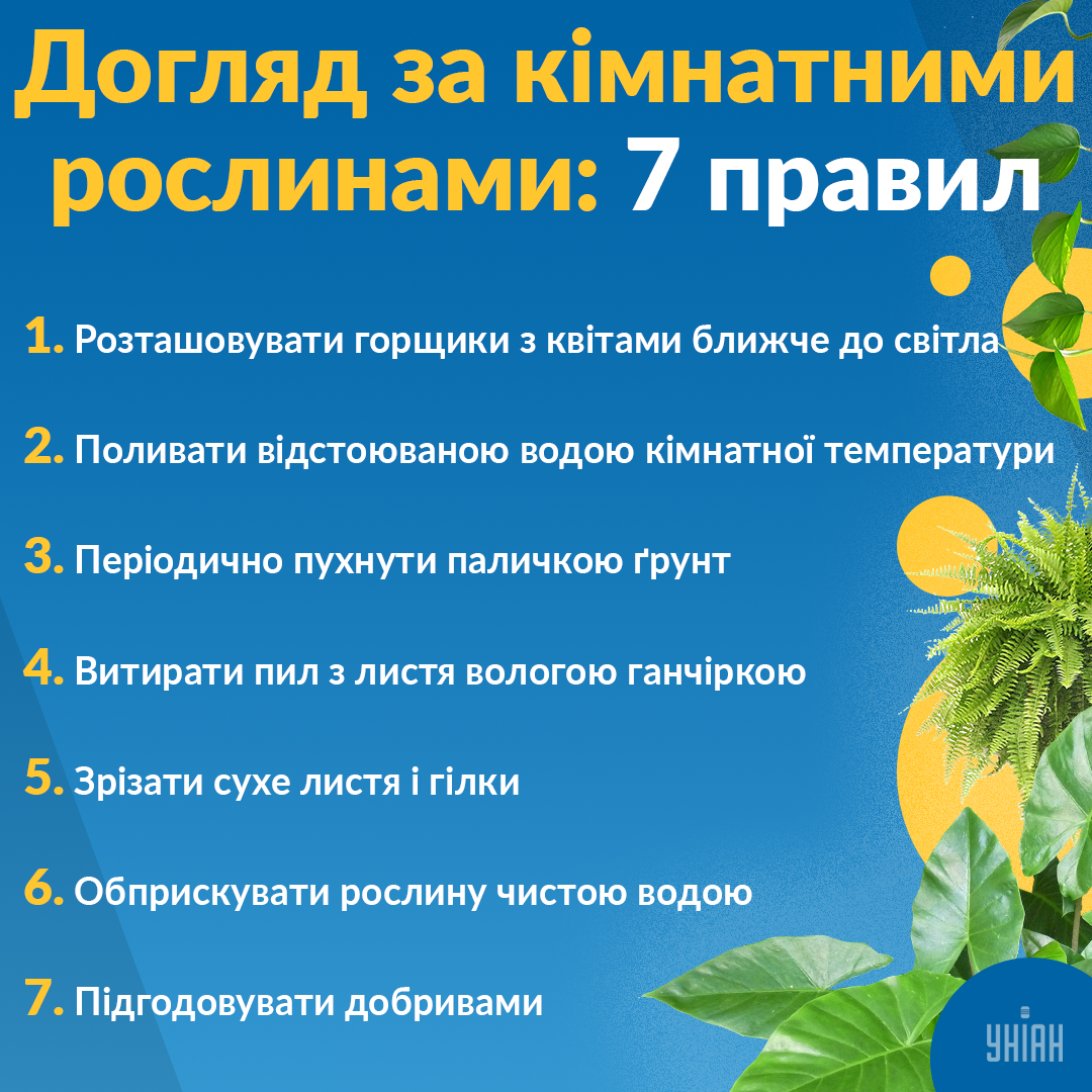 Корисні поради / Інфографіка УНІАН Корисні поради / Інфографіка УНІАН
