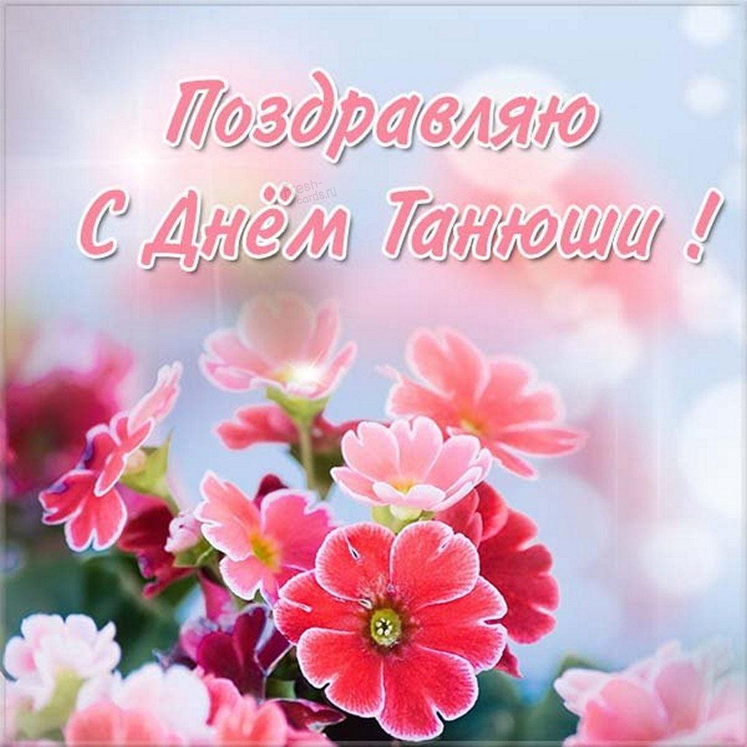 Tatyana's Day 2022 greeting cards / photo fresh-cards.ru