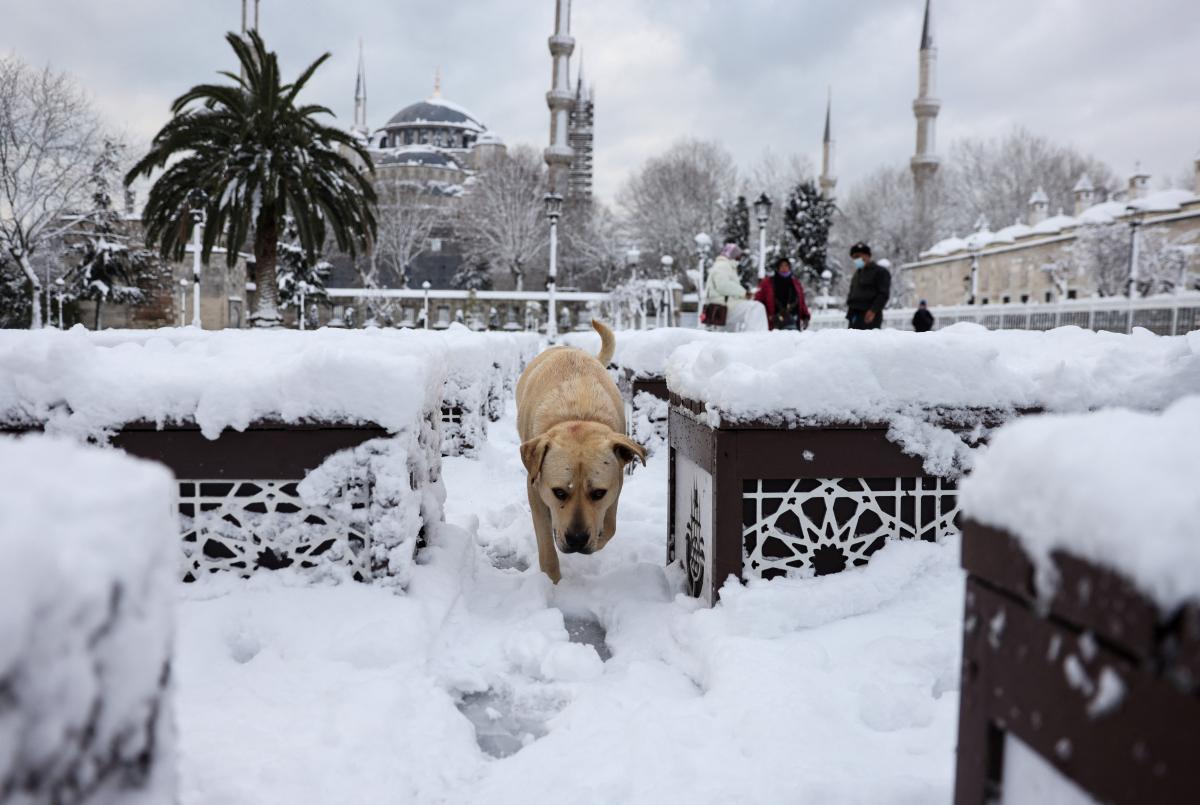 Сильный снегопад накрыл Стамбул / фото REUTERS