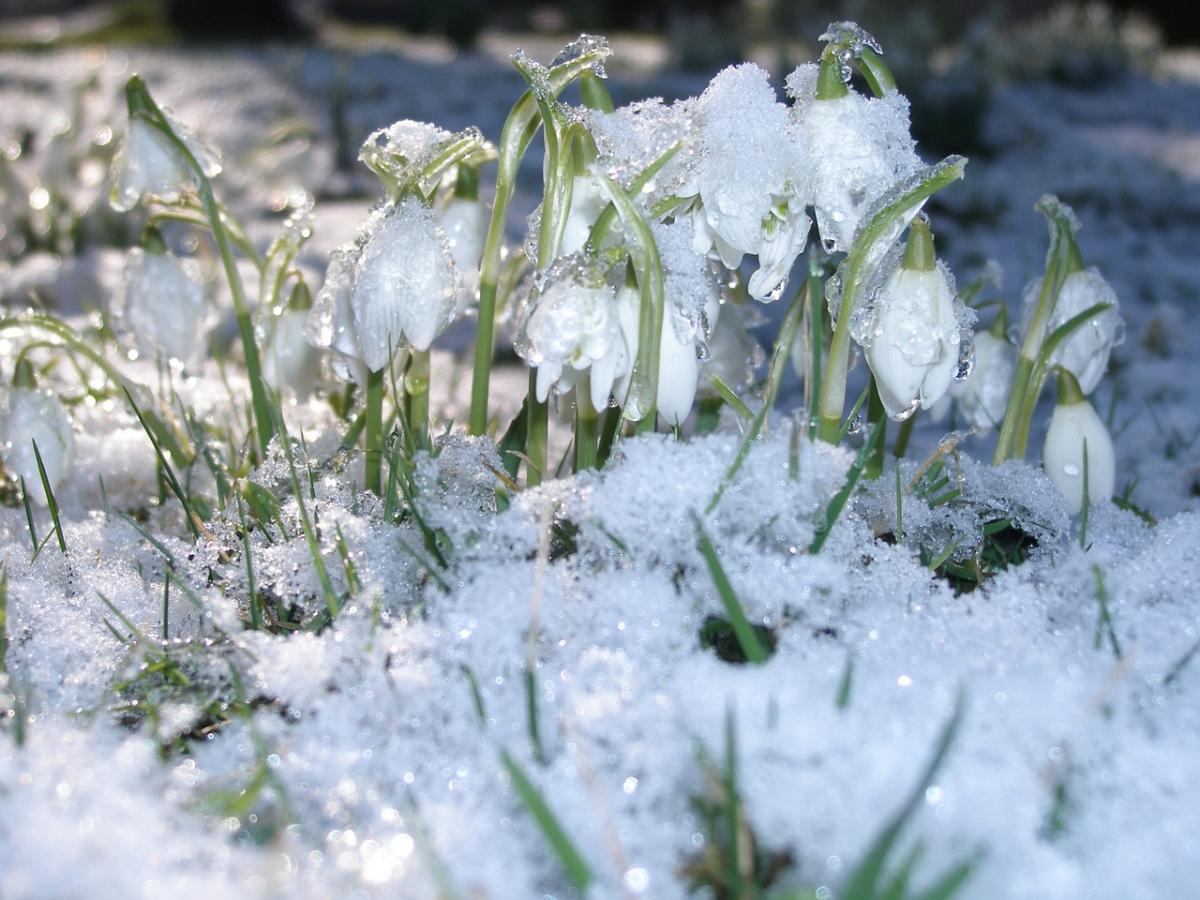 https://images.unian.net/photos/2022_01/1643207133-8890.jpg?r=846642