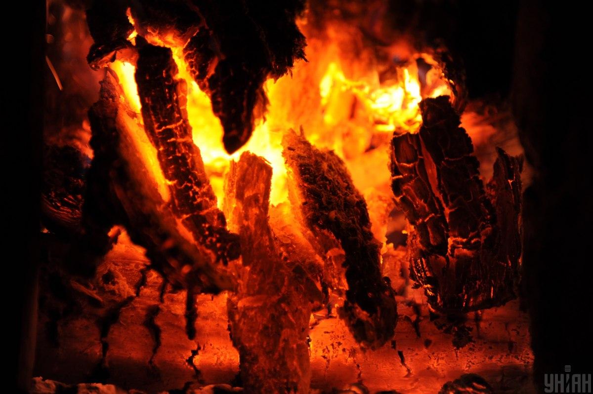 Не всі дрова підходять для опалення / фото УНІАН