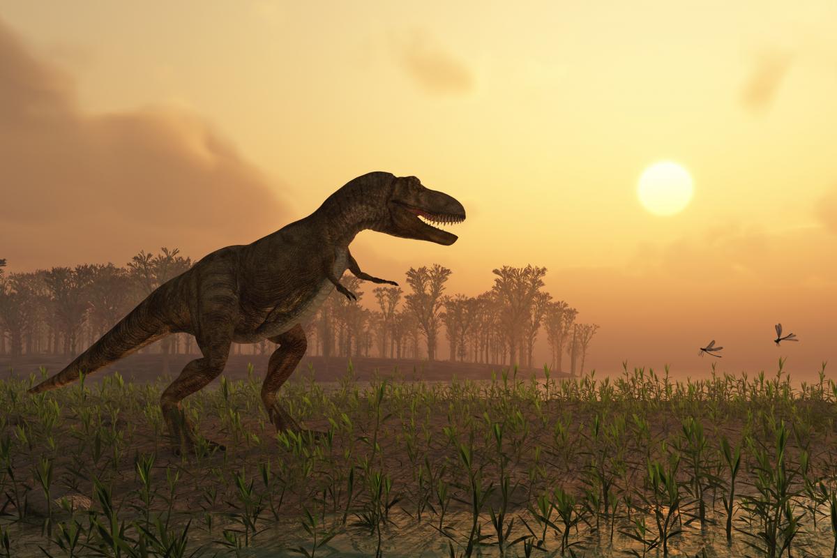Maleriraptor kuttyi обитал на Земле примерно 220 миллионов лет назад / фото - depositphotos.com Maleriraptor kuttyi обитал на Земле примерно 220 миллионов лет назад / фото - depositphotos.com
