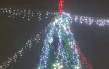 "Тигр на елке": в Кривом Роге мужчина "зажигал" на украшенном дереве (фото, видео)