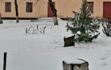 На Миколаївщині жінка вбила хлопця через "надмірну увагу" (фото)