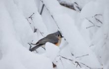 22 січня 2022 - яке сьогодні свято, прикмети та іменинники, що сьогодні не можна робити