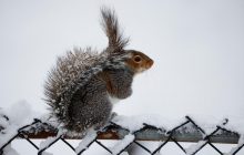 20 січня 2022 - яке сьогодні свято, прикмети та іменинники, що сьогодні не можна робити