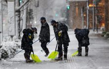 Токіо вперше за 4 роки засипало снігом: постраждали десятки людей (фоторепортаж)