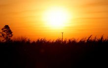 Неизбежно: климатологи предупредили о тревожной аномалии 2024 года