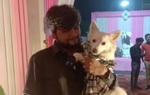 В Индии братья устроили роскошную вечеринку для собаки и оказались за решеткой