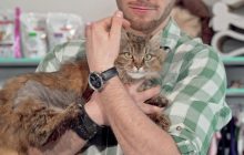 В Британии энергокомпания посоветовала людям "прижаться к коту", чтобы не замерзнуть зимой