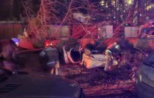 В Киеве из-за сильного ветра дерево упало на автомобиль с людьми (фото, видео)